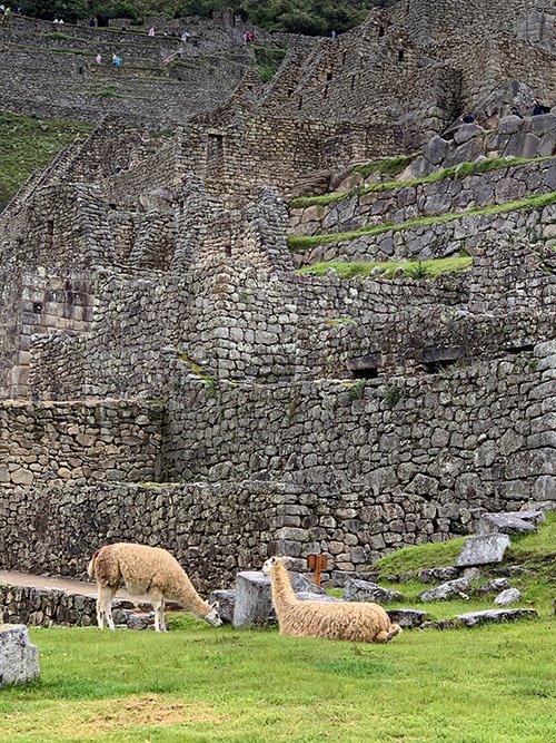 占い師蘭胡のお気に入り写真2